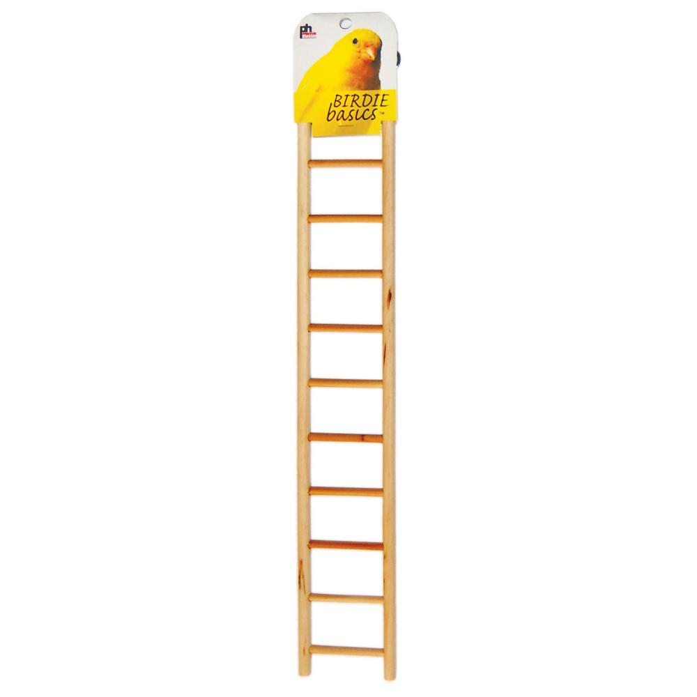 Ladder Lock  Bird Ladder