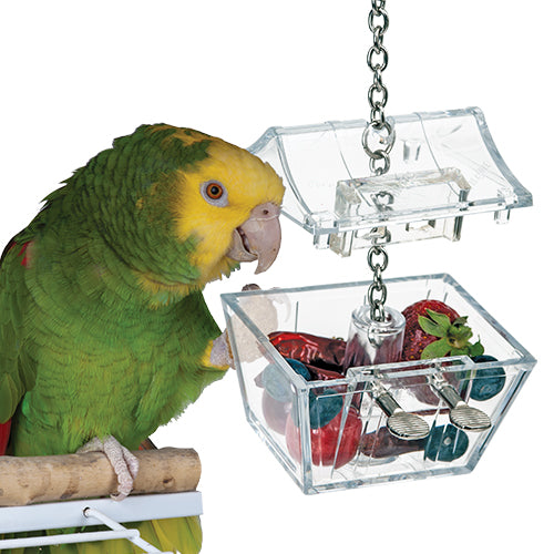 Featherland bird toys best sale