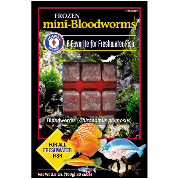 San Francisco Bay Frozen Bloodworms Mini 3.5oz
