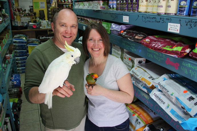 ONTARIO PARROT SHOP OWNER WANTS YOU TO FIND LOVE AT FIRST SQUAWK