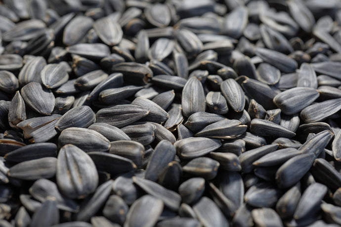 Sunflower Seeds Aren't As Sunny As They Seem