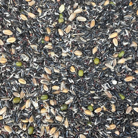 Soak and Sprout Seed for Canary / Finch - P70