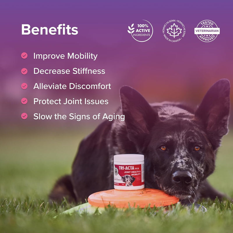 Tri-Acta H. A. Maximum Joint Supplement for Dogs & Cats
