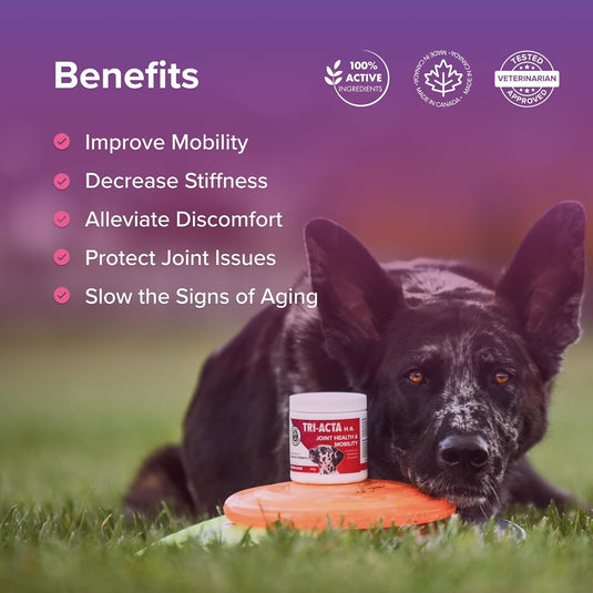 Tri-Acta H. A. Maximum Joint Supplement for Dogs & Cats