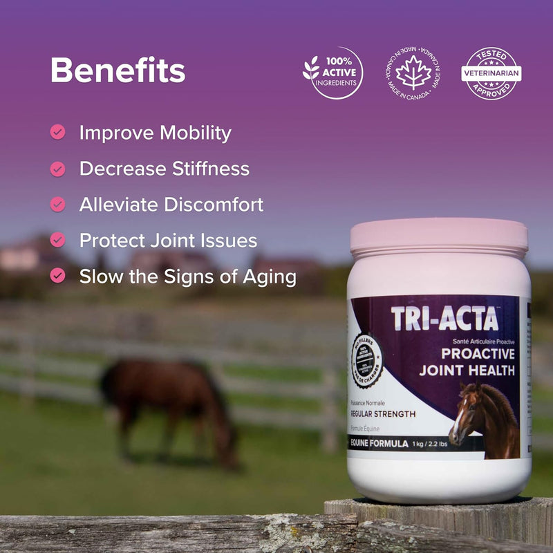 Tri-Acta Regular Strength Equine Mobility Support for Sport/Working & Retired Horses
