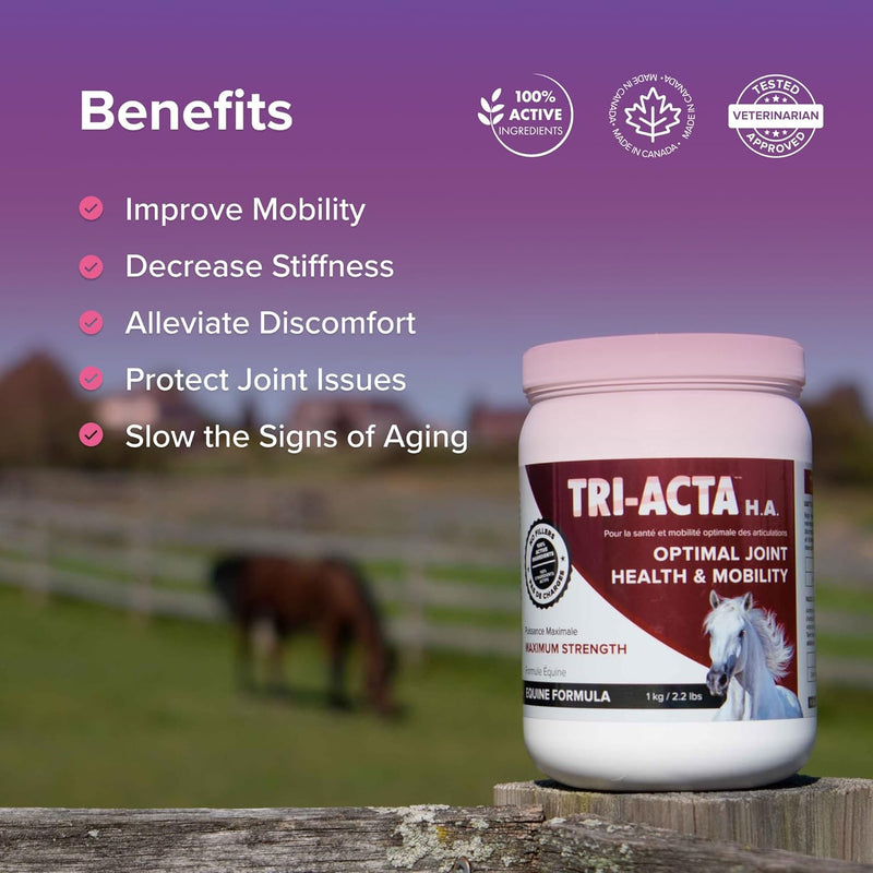 Tri-Acta H.A Maximum Equine Mobility Support for Sport/Working & Retired Horses
