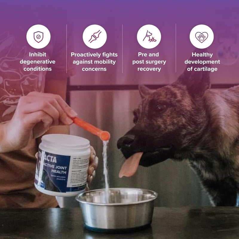 Tri-Acta Joint Supplement for Dog & Cat
