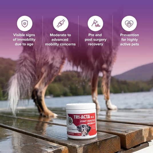 Tri-Acta H. A. Maximum Joint Supplement for Dogs & Cats