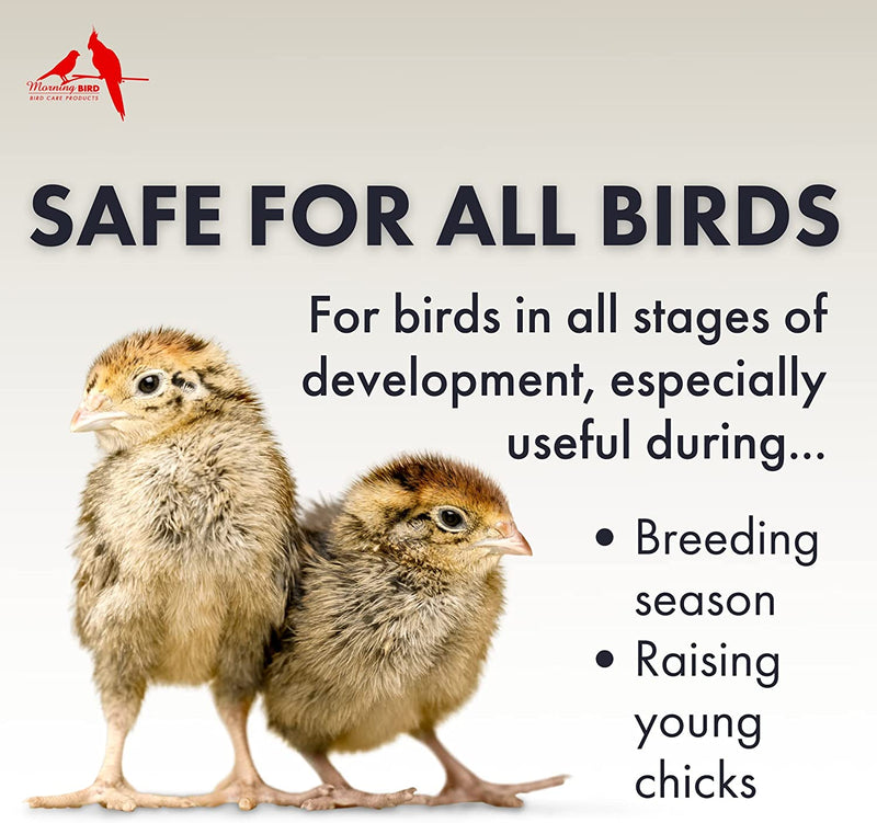 Morning Bird Breeders Blend Breeding Supplement EXP 3/2025
