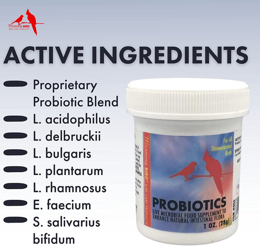 Morning Bird Probiotics Live Microbial Food Supplement - 1 oz | 3 oz