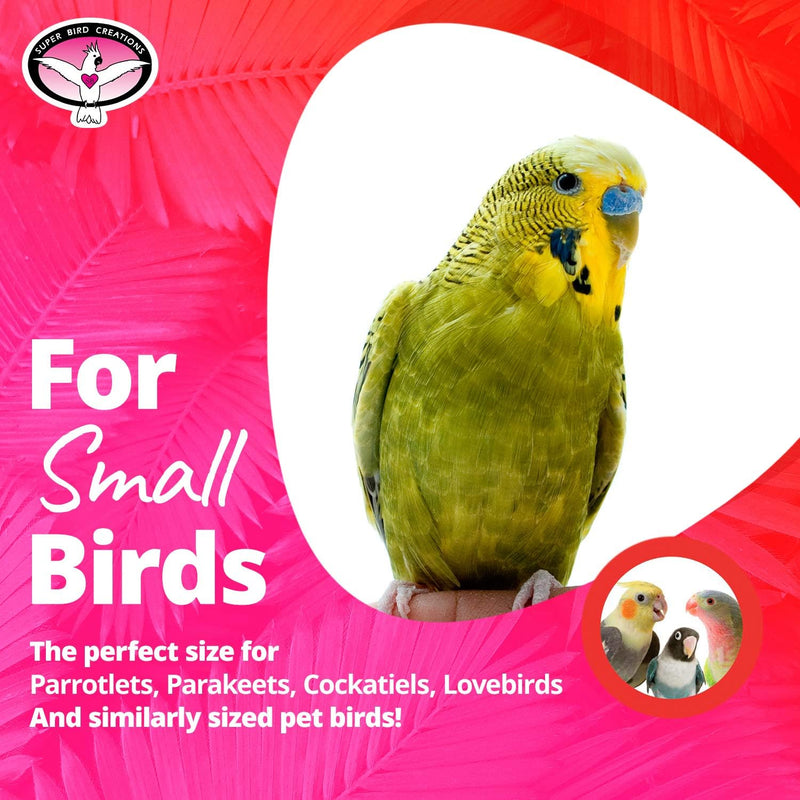 Bird & Small Pet Foot Toy - Sneaker
