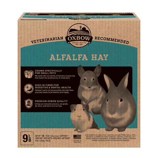 Oxbow Alfalfa Hay for Small Pets