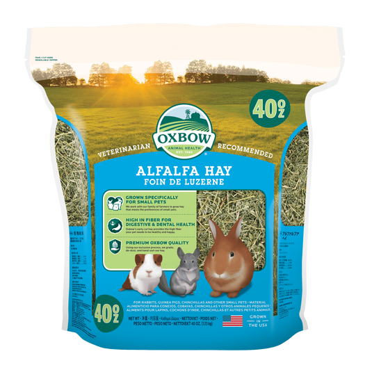 Oxbow Alfalfa Hay for Small Pets