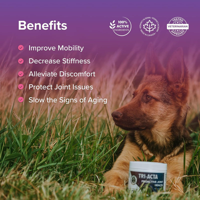 Tri-Acta Joint Supplement for Dog & Cat
