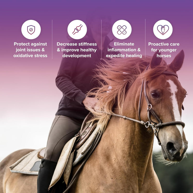 Tri-Acta Regular Strength Equine Mobility Support for Sport/Working & Retired Horses
