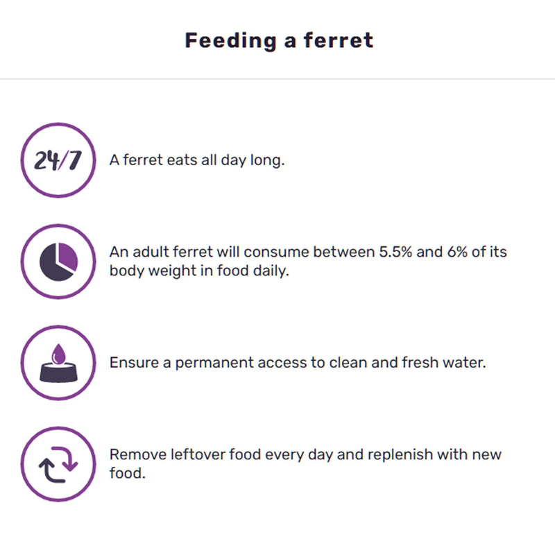 Arthur The Ferret Expert - Ferret Food for All Life Stages Complete Nutrition
