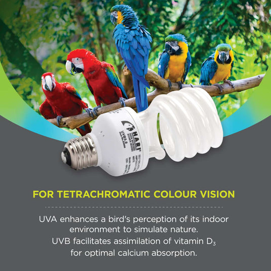 HARI Compact Fluorescent Avian Light UVA/UVB - 26 W Good for All Birds - 85000