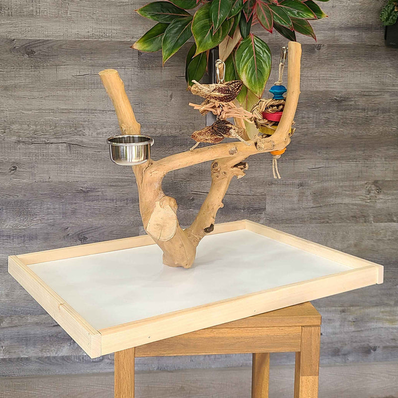 Billy Bird Java Wood Table Top Play Stand - 5000 🍁
