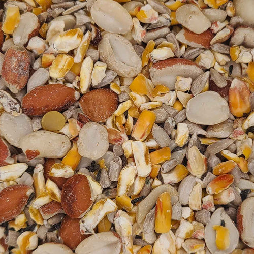 Best Blend Wild Bird Seed - Gardener's Choice 🍁