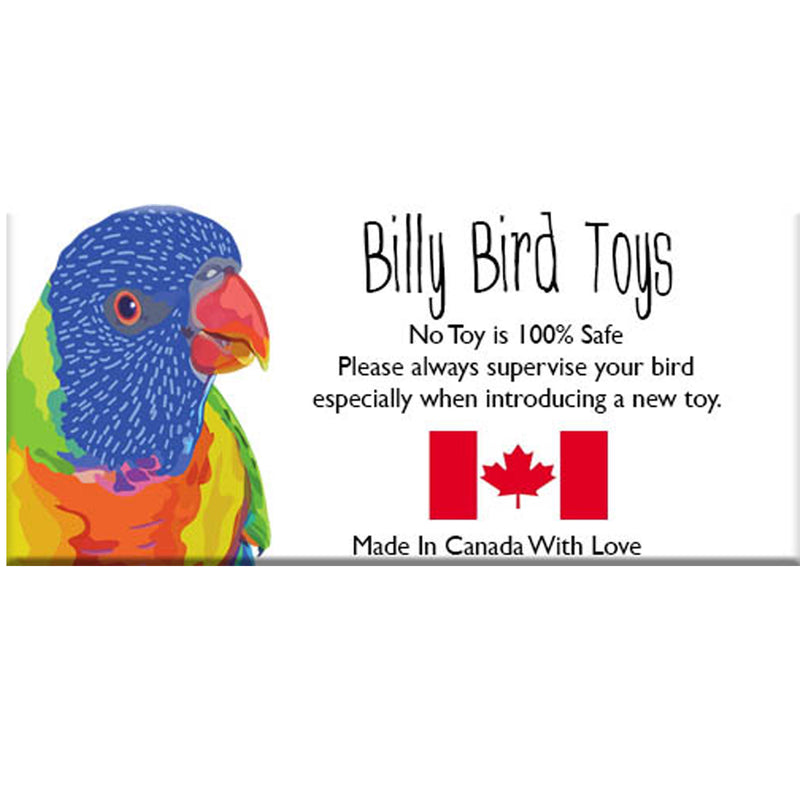 Billy Bird Toys Squidster Medium Parrot Enrichment - 2041 🍁
