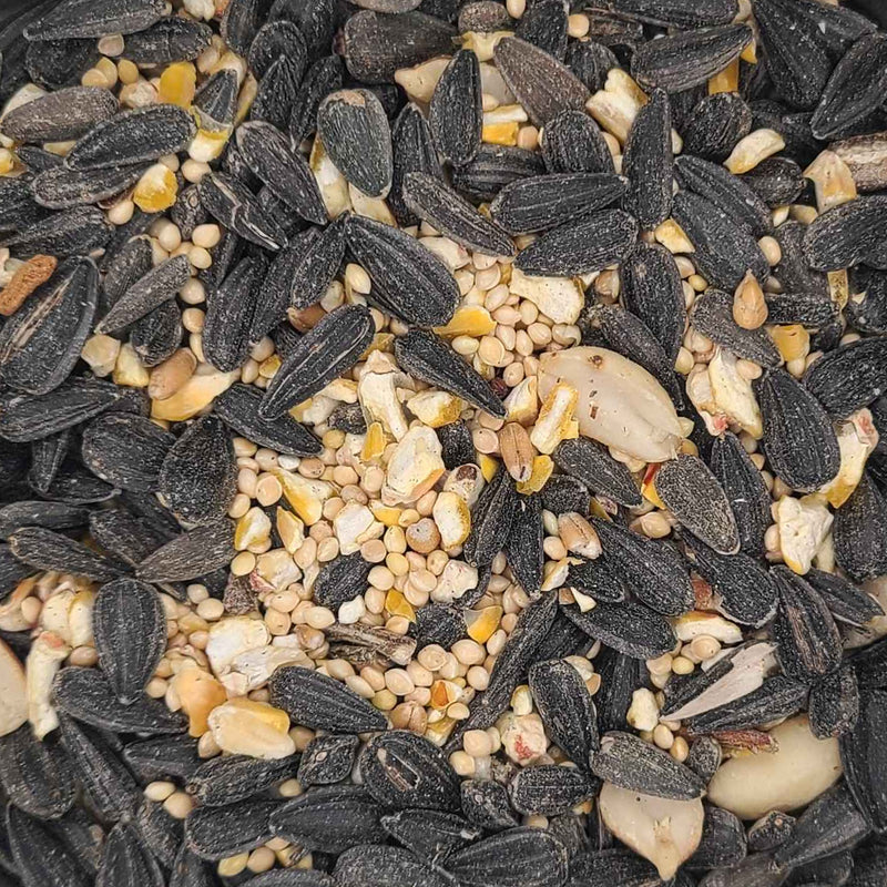 Black Wonder Wild Bird Seed 🍁
