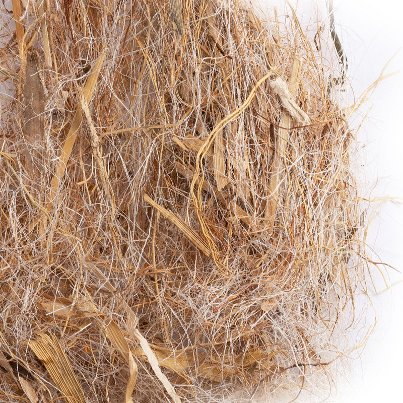 Sisal Fibre Co. Coconut-sisal-meliga-bract Bird Nesting Material Finch, Softbill
