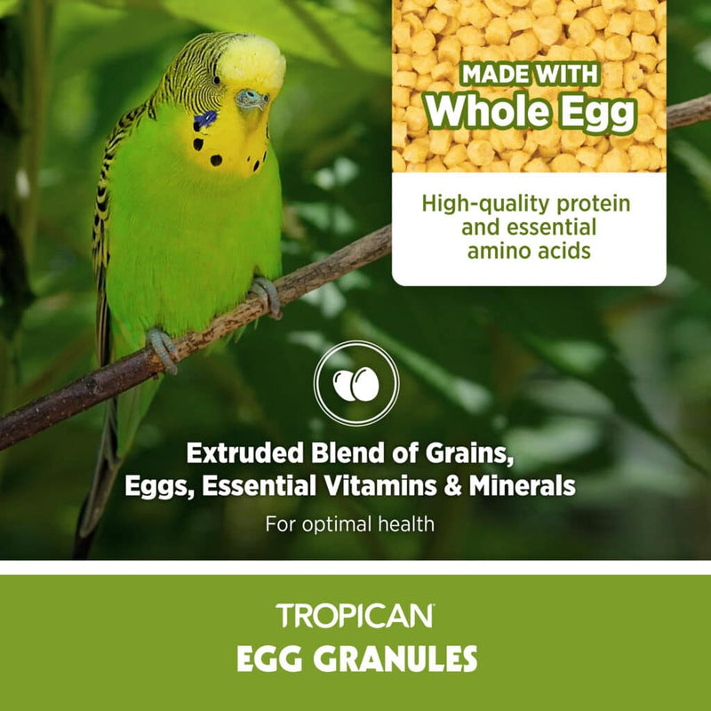 Tropican Egg Granules Finch - Canary - Small Bird 🍁
