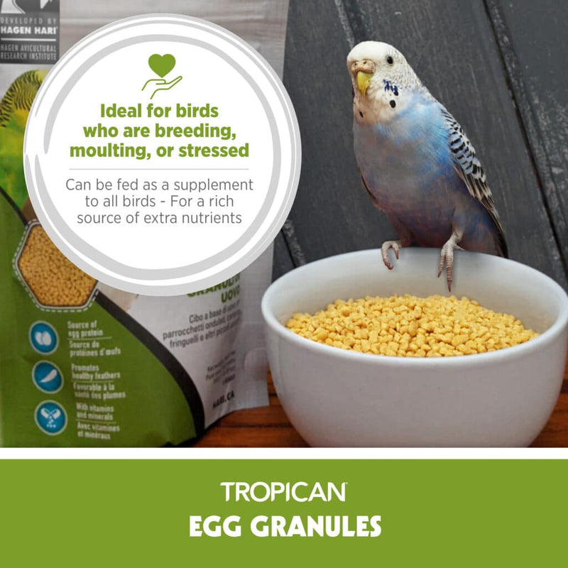 Tropican Egg Granules Finch - Canary - Small Bird
