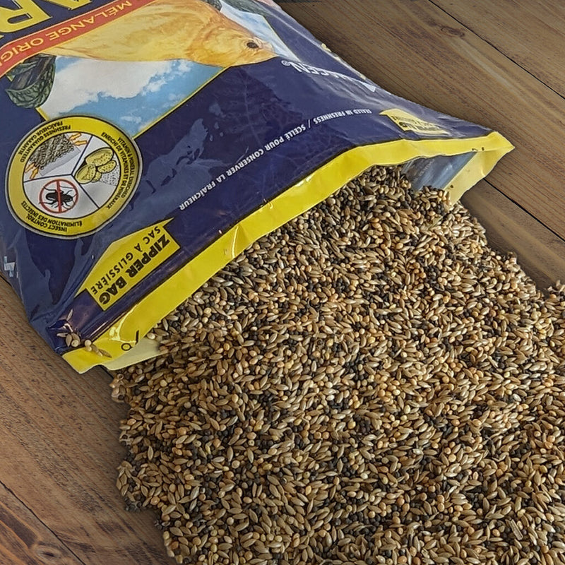 Hagen Staple VME Seed - Canary
