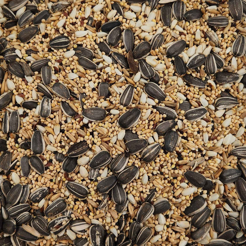 Conestoga Bird Seed Cockatiel With Stripped Sunflower
