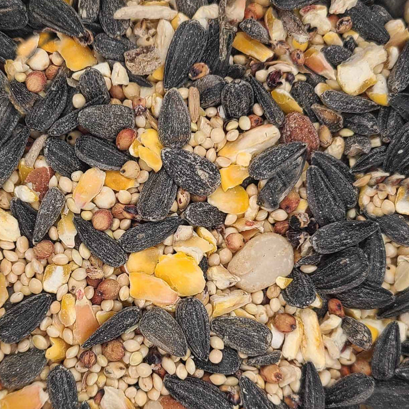 Diner's Delight Wild Bird Seed 🍁
