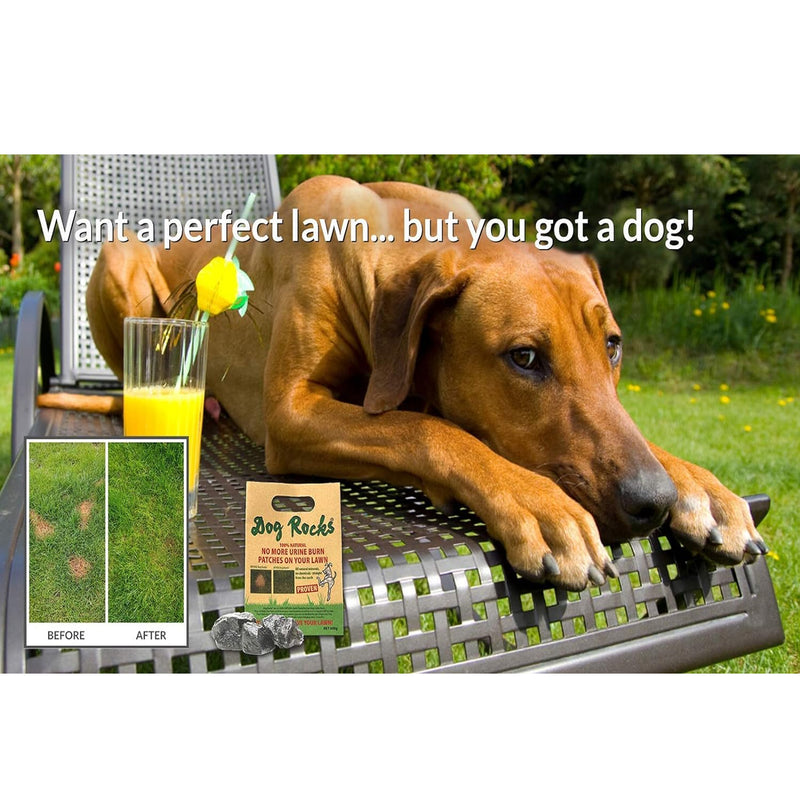 Dog Rocks Lawn Savers no Pet Burn Patches!
