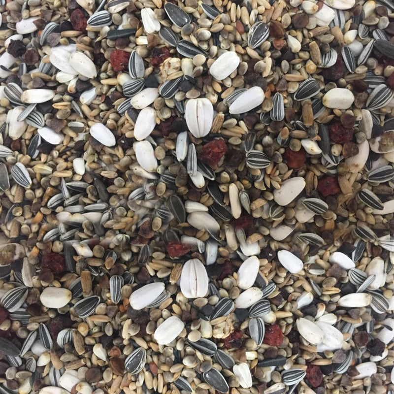 Large Finch Seed Mix - Great for Breeding Birds - 5kg
