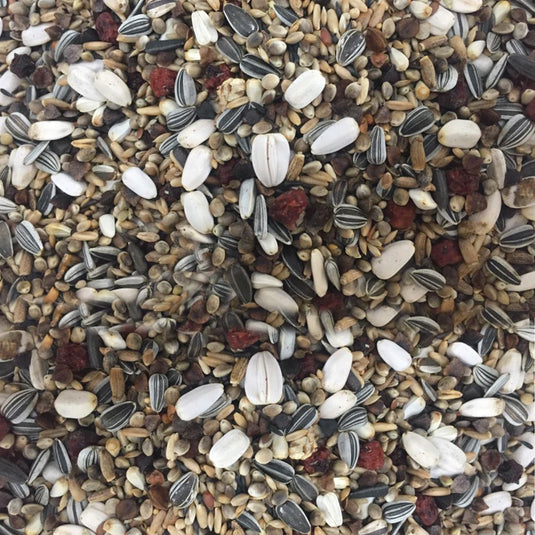 Large Finch Seed Mix - Great for Breeding Birds - 5kg