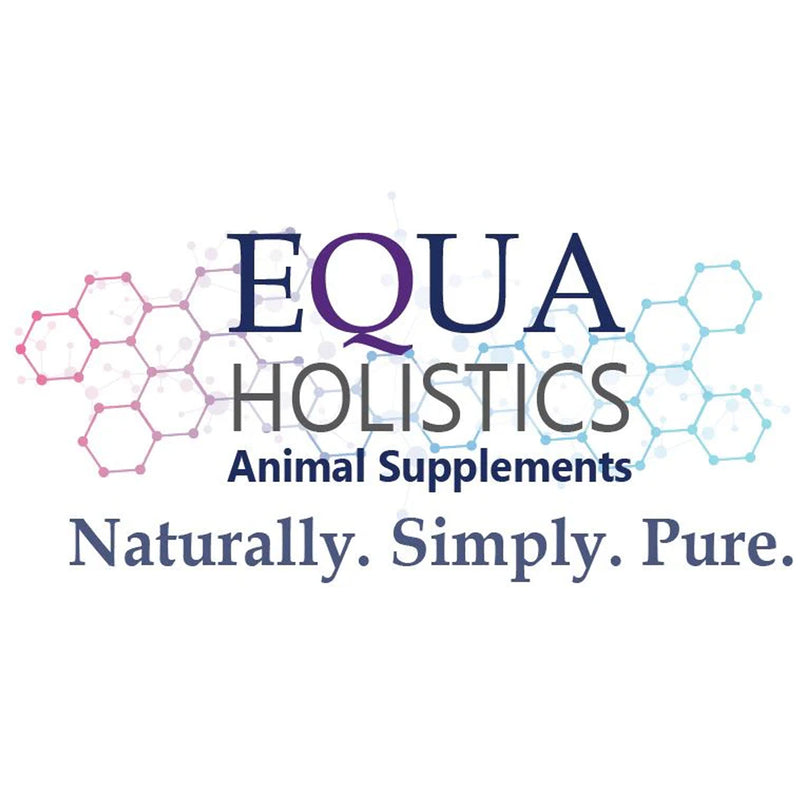 Equa Holistics BioFeather Medium / Large Bird 45 g
