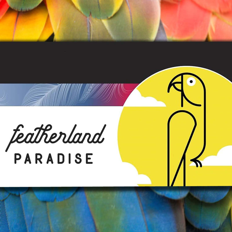 Featherland Paradise Bungee Boing with Bell Parrot Perch n' Swing
