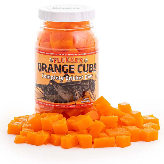 Orange Cubes Complete Cricket Diet