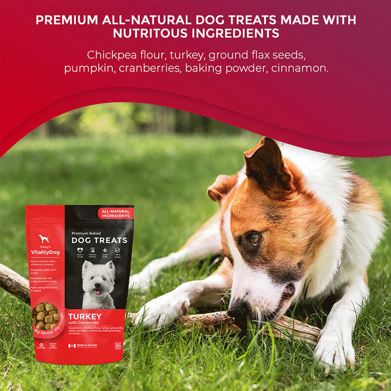 Foley's Vitality Dog Treat - Turkey with Cranberries
