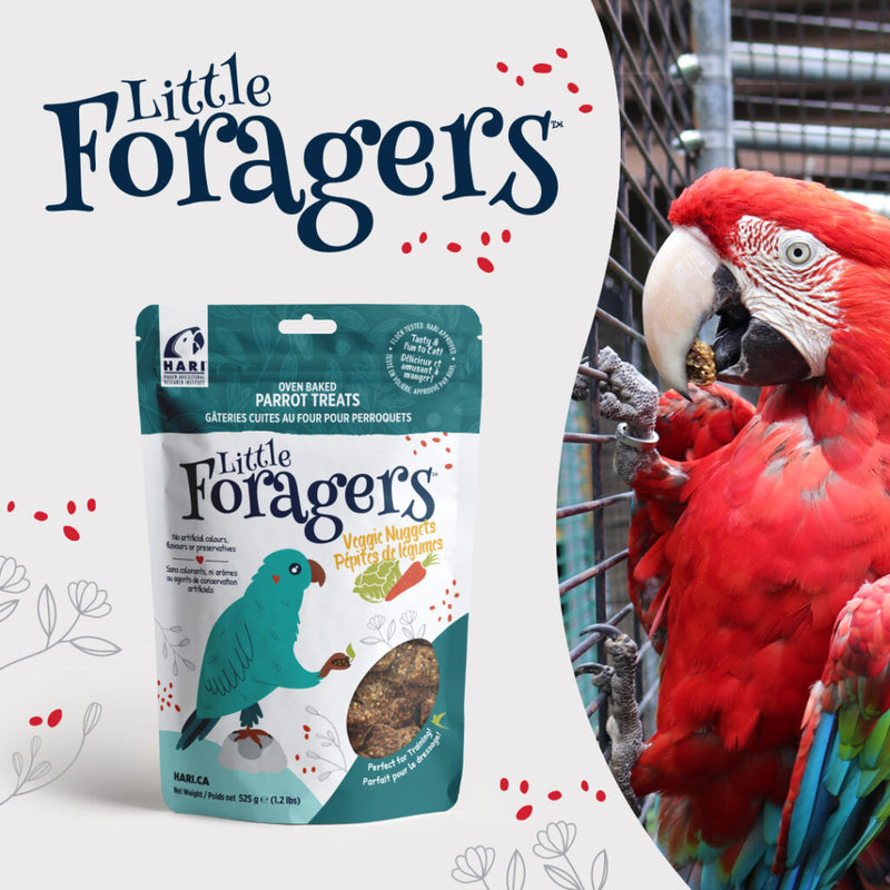 Little Foragers Treats Veggie Nuggets - Parrot
