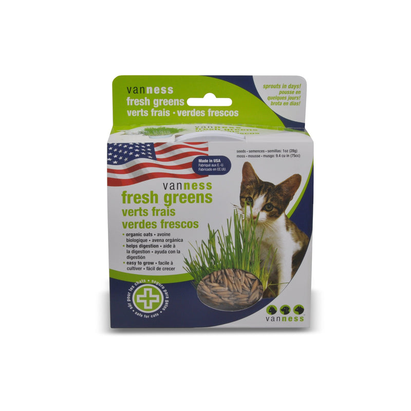 Van Ness Cat Oat Garden Kit
