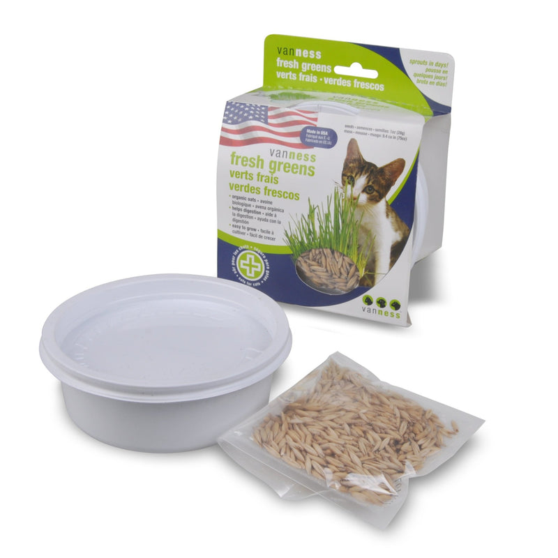 Van Ness Cat Oat Garden Kit
