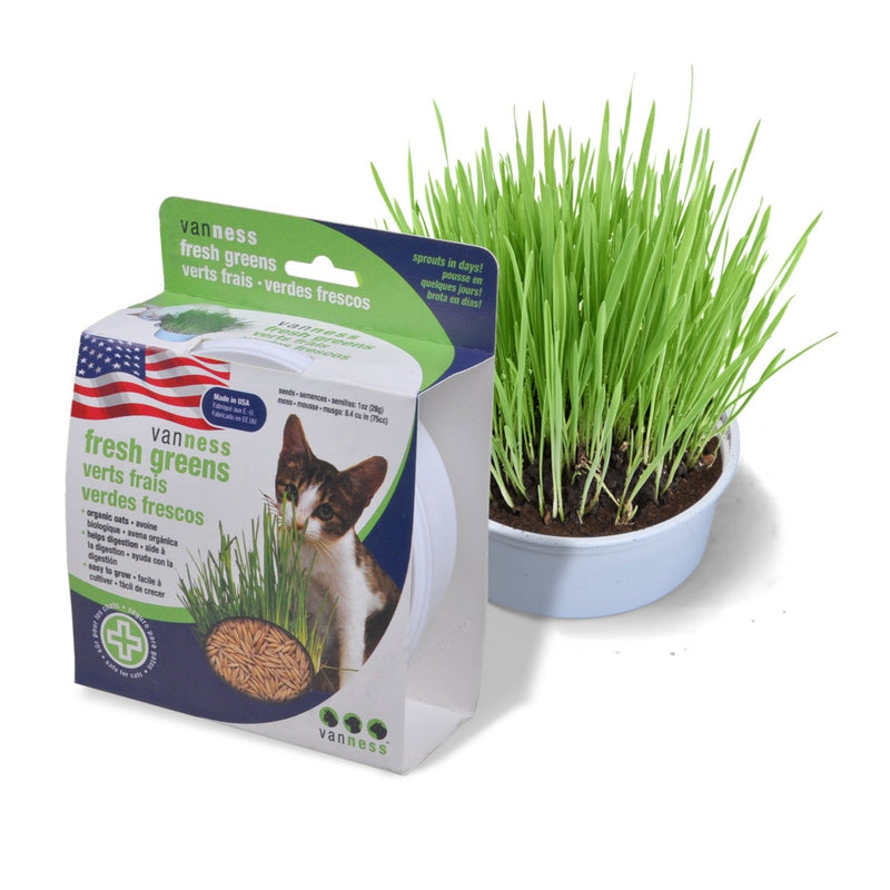 Van Ness Cat Oat Garden Kit
