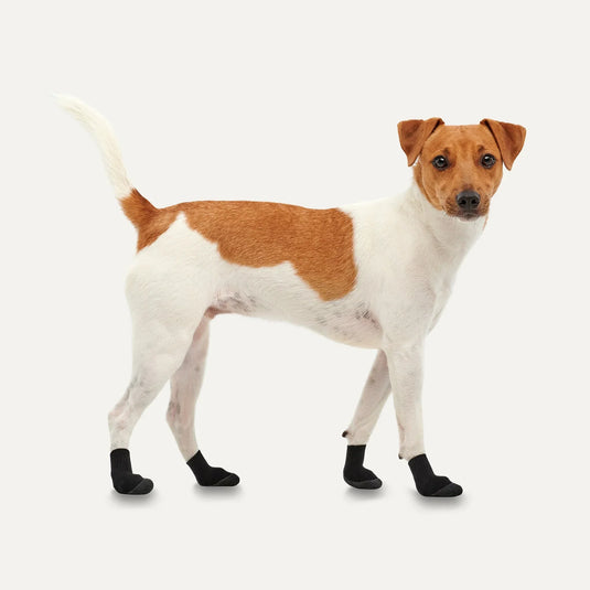 LITES All Season Dog Boots - Extra Large