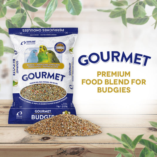 Gourmet Premium Seed Mix - Budgies