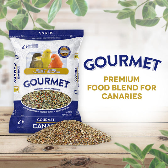 Gourmet Premium Seed Mix - Canary