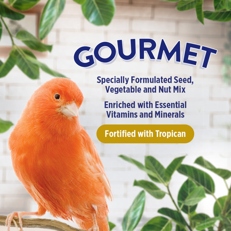 Gourmet Premium Seed Mix - Canary
