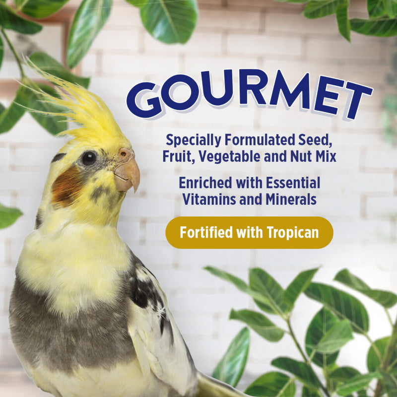 Gourmet Premium Seed Mix - Cockatiels 🍁
