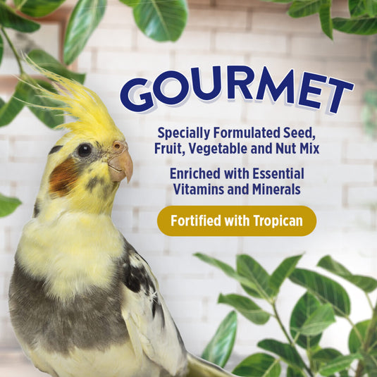 Gourmet Premium Seed Mix - Cockatiels 🍁