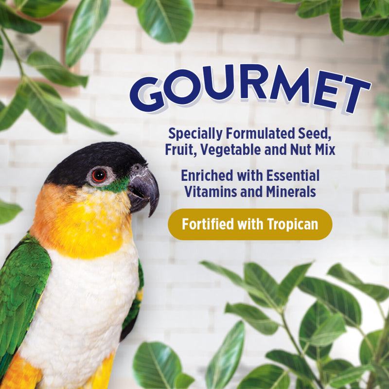 Gourmet Premium Seed Mix - Parrot
