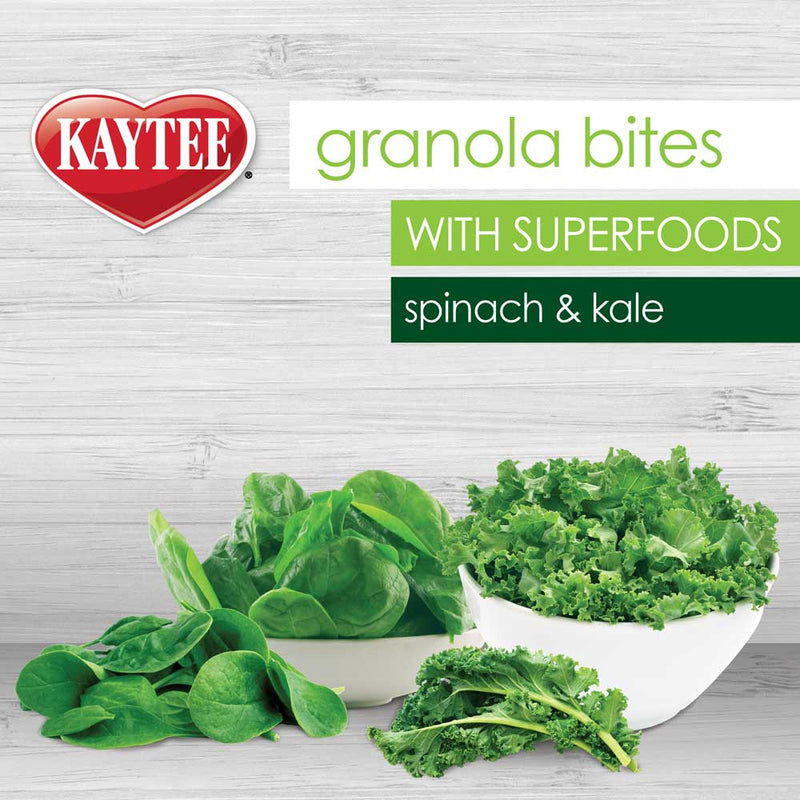 Kaytee Superfood Granola Bites Bird Treat with Spinach & Kale - 4.5 oz
